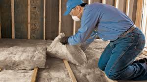 Eco-Friendly or Green Insulation Solutions in Oglesby, IL